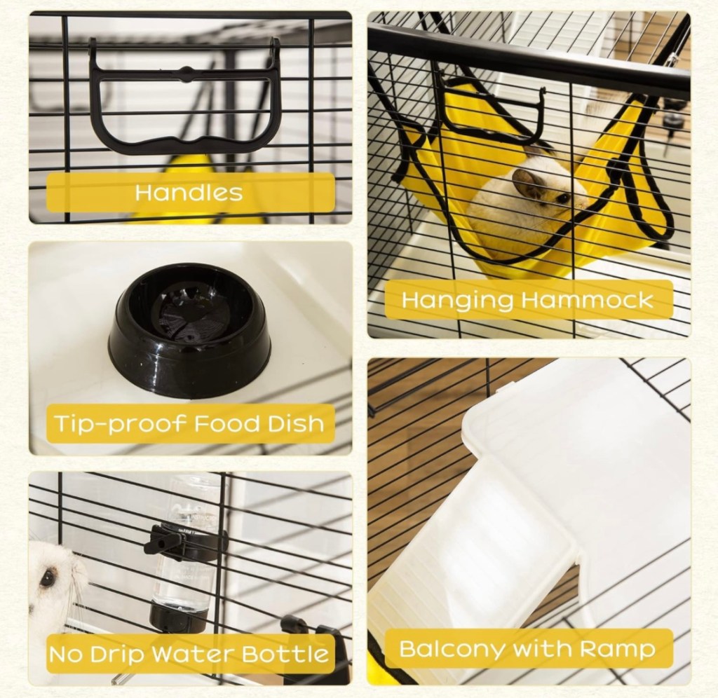 Exploring the Best Rat Cages Queen City Rattery